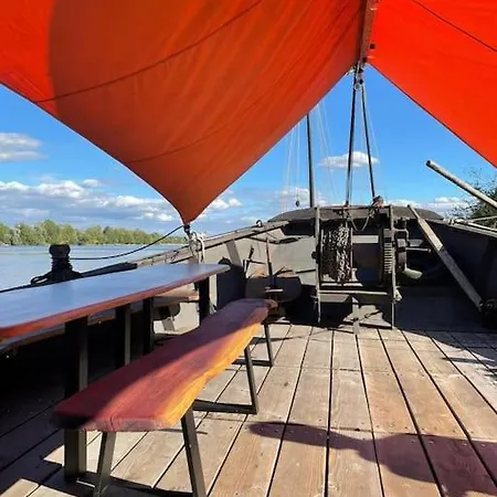 Bateau Typique De Loire, Site Classe. *